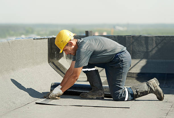 Best Insulation Replacement Services  in Port Morris, NJ